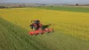 BC 6500 R Crop Shredder on a mustard cover or intermediate crop shredding job