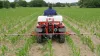 Pulverizador para quads EVOLIS trabajando en un campo de maíz