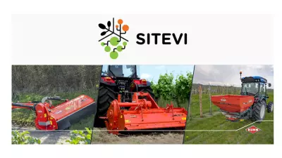 sitevi