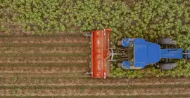 De BFP 320 versnipperaar aan het werk in een aardappelveld in Picardië, Frankrijk