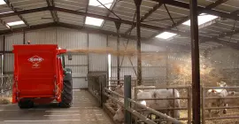 Empajadora distribuidora PRIMOR 2060 S de KUHN durante el empajado