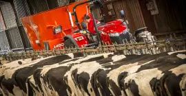 PROFILE 2 CS aan het werk