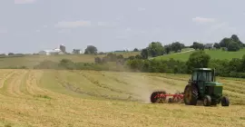 SR 50 wheel rake at work