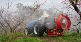 Côté latéral droit - SUPREMA 480