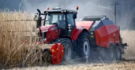 Het oogsten van miscanthus of energiegewassen met de WS 320 BIO klepelmaaier en de vele voordelen daarvan