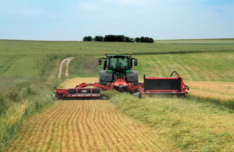 FC_9330_RA in a field