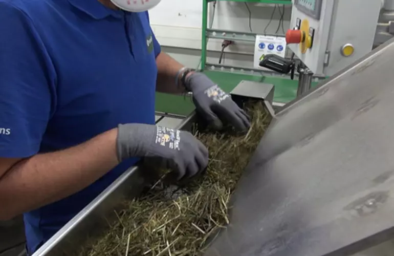 the simple in an machine