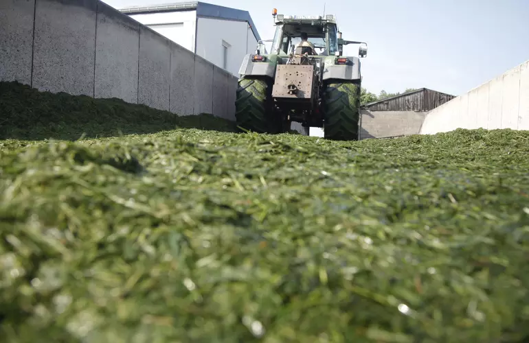 Compacted silo - effective and regular compaction of the clamp