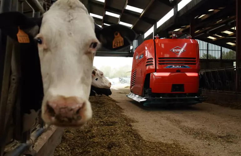 A cow with AURA mixer in the background