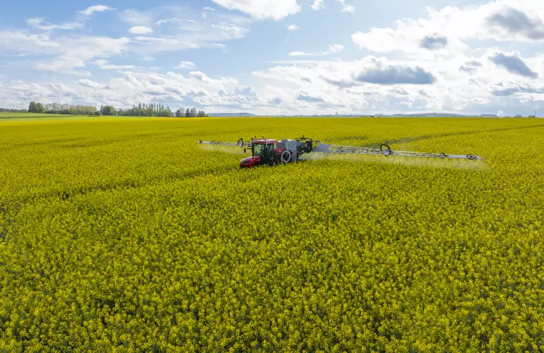 Photo of the ARTEC F40 EVO self-propelled sprayer in a rapeseed field