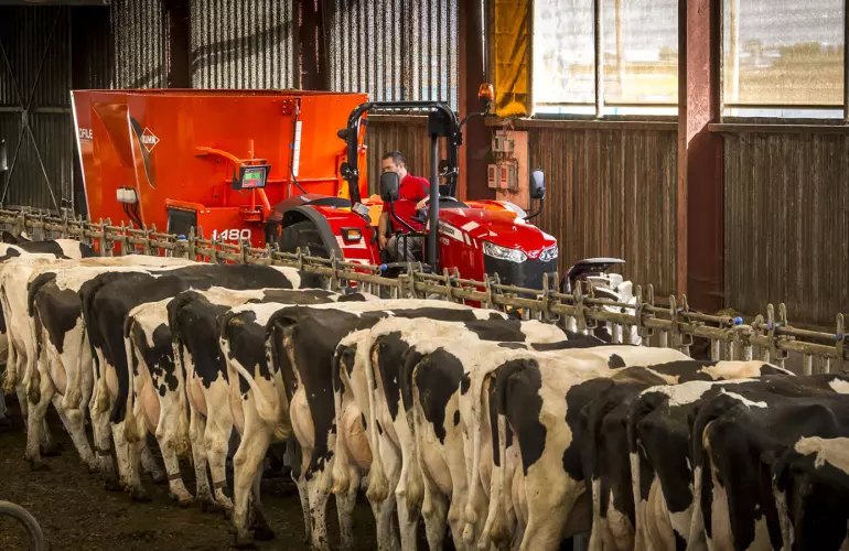 PROFILE 2 CS aan het werk