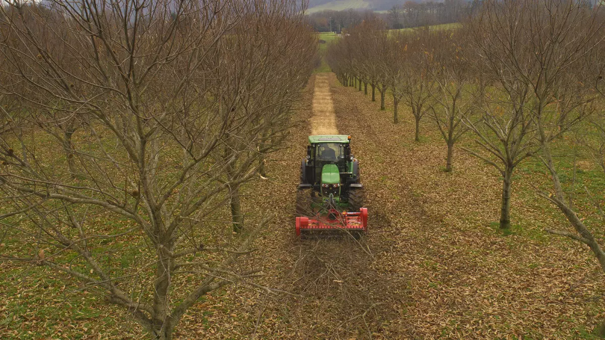 Orchard and Vineyard Flail Mowers TDP 1000 Series | KUHN