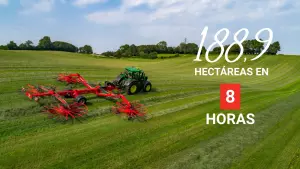 GA15131 world raking record