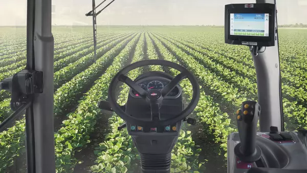 Radial and diagonal tire