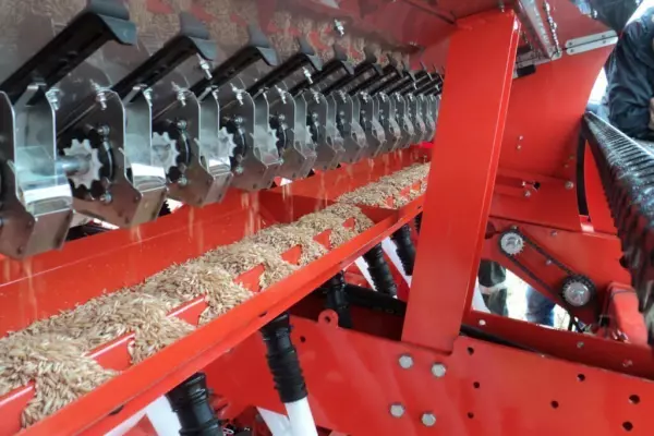 Bandeja recolectora de entrada en posición de recolección realizando la calibración de semillas de trigo