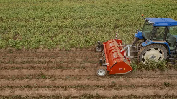 The BFP 320 shredder shreds potato tops finely and delivers the product between the ridges.