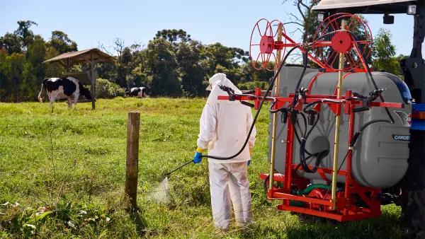 Barra de Ganado exclusiva