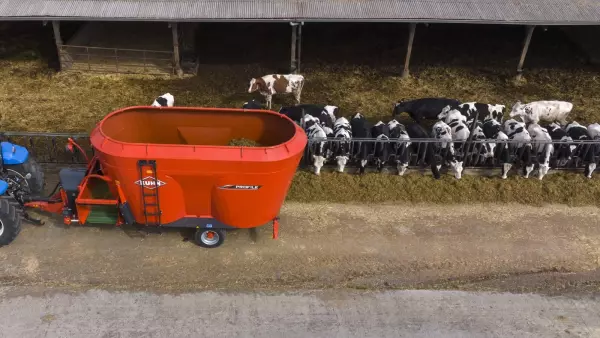 Wide discharge conveyor for even ration distribution