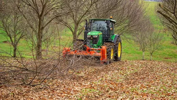 Trituradora de plantaciones frutales TDP 2000 trabajando en un campo de castaños en el sur de Francia