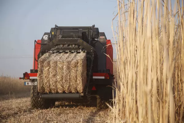 Hrubé drcení zbytků drtičem WS 320 BIO usnadňuje shrnování a balíkování energetických plodin