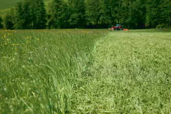 Cubierta vegetal destruida con la trituradora BP 8300