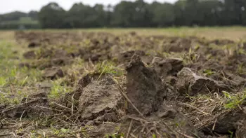 Image of soil loosened using the DT XL 300 cultivator.