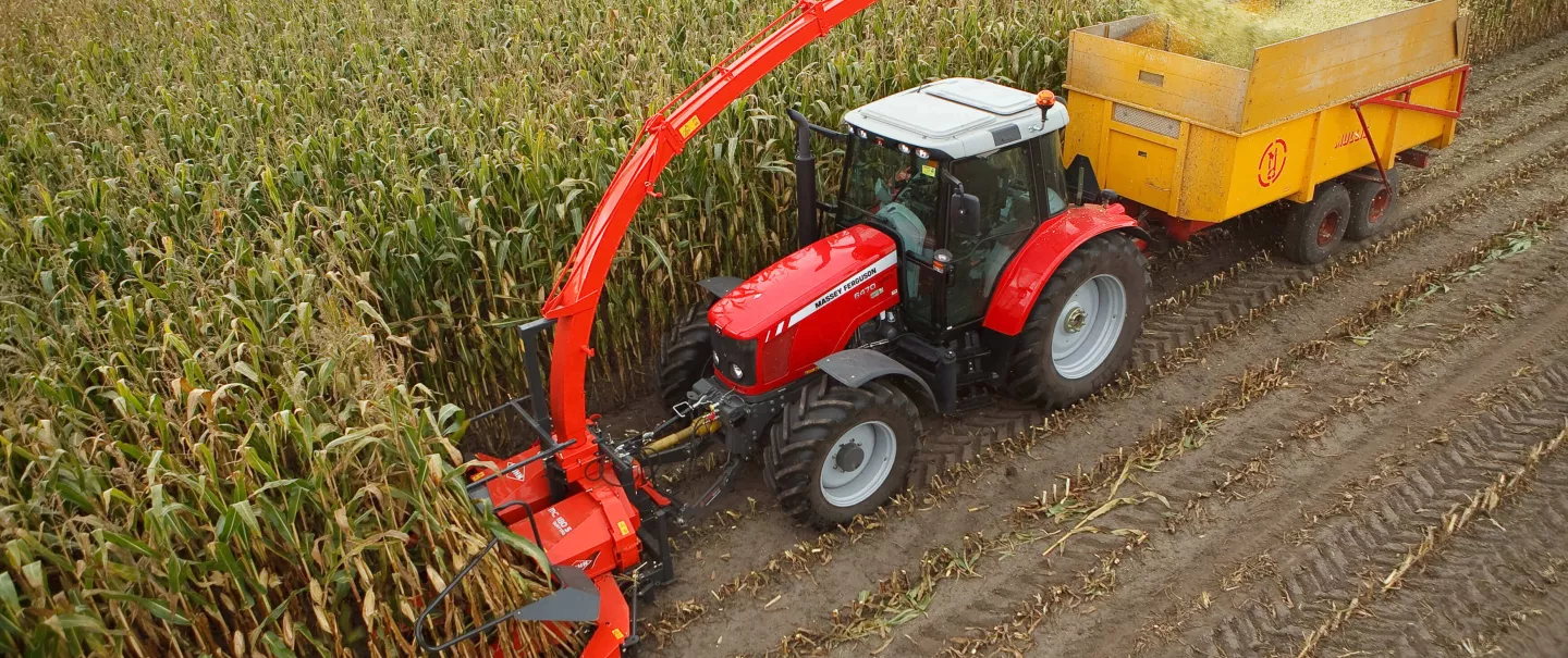 MC180 chopping maize driven by front PTO of a tractor.