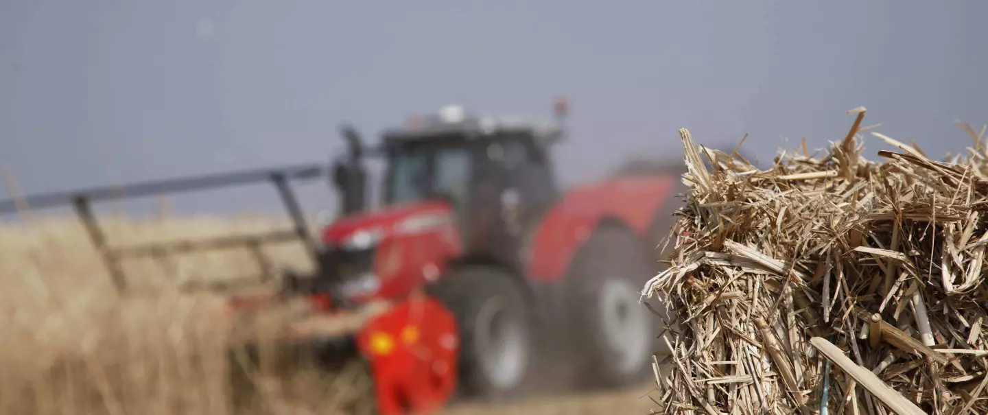 Het oogsten van miscanthus of energiegewassen met de WS 320 BIO klepelmaaier en de vele voordelen daarvan.