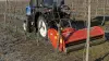 BV 160 vineyard and orchard shredder at work