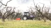 Le broyeur BV 1800 au travail dans les cerisiers dans l'est de la France