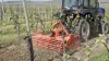 HRB 152 rotorkopeg aan het werk in een wijngaard