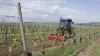 HRB 152 power harrow at work in vineyards