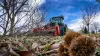Chestnut groves but also other orchards will be well maintained thanks to the shredding carried out by the TDP 2000 orchard specialist shredder